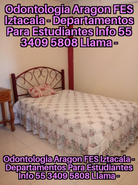 Renta para estudiantes; alojamiento para estudiantes; hospedaje estudiantes; cuartos para estudiantes; departamentos para estudiantes; habitaciones para estudiantes; recamaras para estudiantes; fes aragon; tese; tec ecatepec; uneve; universidad ecatepec; clinica odontologica aragon; odontologia unam; clinica odontologica fes aragon; odontologia iztacala; UPN 153; dormitorios para estudiantes;  upiicsa; ipn zacatenco; ipn ticoman; 