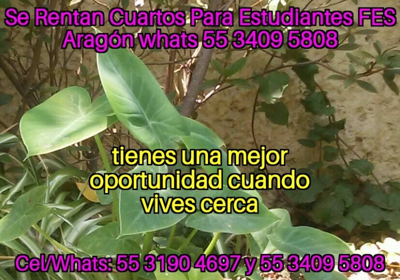 Fes Aragon Nuevo Ingreso 2020