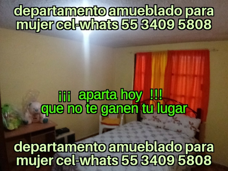 Busco alquiler para estudiantes; donde rentan los estudiantes; alquiler para estudiantes; en donde rentan los estudiantes; 